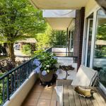 Terrasse mit Sitzgruppe, Pflanze und Blick in grüne Umgebung.