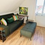 Ein Wohnzimmer mit grünem Sofa, Holzboden und großem Fenster.