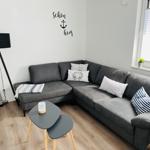 Living room with gray sofa, decorative cushions, and wooden floor.