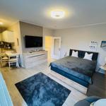 Schlafzimmer mit Bett, TV und Küchenbereich