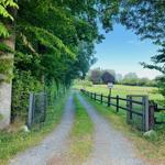 Gepflasterter Weg durch grüne Bäume zu einem Feld mit Zaun.