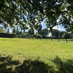 Grünes Feld unter Bäumen mit Holzzaun und Ferienhaus im Hintergrund.