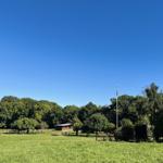 Grünes Feld mit Wald, kleinem Bauernhof und Wetterfahne unter blauem Himmel.