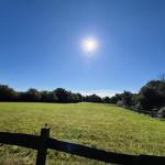 Sonniger Blick auf grünes Feld mit Zaun und Bäumen im Hintergrund.
