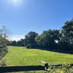 Grünflächen mit Zaun und Bäumen unter blauem Himmel.