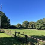 Grünes Feld mit Holzzäunen und Bäumen unter blauem Himmel.