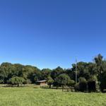 Grünes Feld mit Bäumen und kleinem Gebäude unter blauem Himmel.