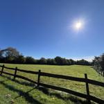 Weitläufiges Grünfeld mit Holzzaun und Bäumen unter strahlend blauem Himmel.