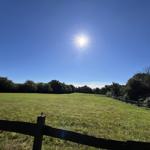 Weitläufiges Grasfeld mit Holzpfostenzaun und Bäumen unter blauem Himmel mit Sonne.