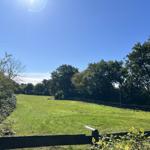 Grünes Feld mit Holzzaun und Bäumen unter blauem Himmel.