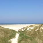 Weg zwischen Dünen führt zum Strand und Meer.