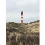 Roter Leuchtturm mit weißer Strebe auf Dünen im Hintergrund.