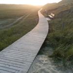 Holzweg durch Grasland, Sonne geht unter, Bank am Weg