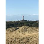 Roter Leuchtturm auf Hügeln mit Gras und Bäumen im Vordergrund.