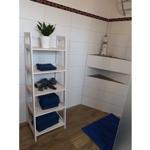 Badezimmer mit weißen Wänden, blauen Handtüchern und Pflanze auf Regal.