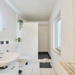 Badezimmer mit Dusche, Toilette und Waschbecken. Fenster und Pflanzen sorgen für Licht.