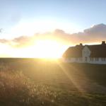 Die Nachbarschaft: Rantum Inge