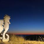 Die Nachbarschaft: Samoa-Seepferdchen