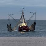 Krabbenkutter am Oststrand (Foto: S. Scholz)
