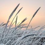 Impression (Foto: unbekannt)