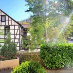 Burgberg und Baumwipfelpfad zum Greifen nah