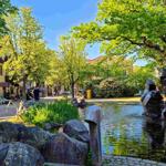 zum Bummeln, Frühstücken und Speisen wohnen Sie an der wunderschönen Bummelallee