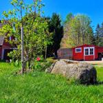 wo sich Luchs und Hase gute Nacht sagen