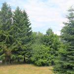 Blick aus dem WZ-Dachfenster