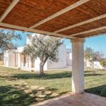 Patio with thatched roof overlooking white villa and olive trees.