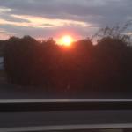 Sonnenuntergang hinter Bäumen, gesehen von einem Auto auf einer Straße.
