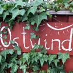 Ostwind