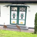 Haus mit grüner Tür, zwei Fenstern und Gartenbank mit Ankermotiv.