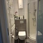 Badezimmer mit Dusche, Toilette und Heizkörper