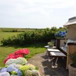 Outdoor seating area with blooming hydrangeas.
