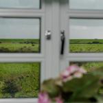 Through the window, green fields with cows are visible.