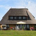 House with thatched roof, terrace, and garden. White sunshade and flower pots.