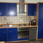 Küchenzeile links mit Backofen, Herd, Abzugshaube, Spülmaschine und Kühlschrank