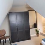 Schlafzimmer mit Kleiderschrank, Stuhl und Pflanze unter schrägem Dach.