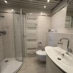 Badezimmer mit Dusche, Toilette und Waschbecken.
