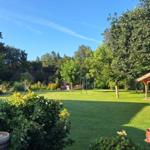 Large green garden with pavilion, swing, and trees under blue sky.