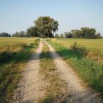 An unpaved path leads through a green field to trees in the background.