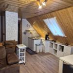 Living area with kitchenette and sloped ceiling. Wooden walls and ceiling.