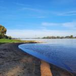Riverbank with sandy shore and green vegetation under blue sky.