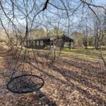 Swing under trees, background a wooden house with terrace.