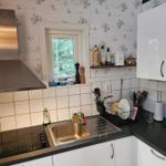 Küche mit Kochfeld, Spüle und Fenster zum Garten