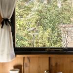 Küchenfenster mit Blick auf grüne Bäume und einen Vogelhäuschen
