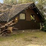 Holzhaus mit Dach und Fenstern in Waldnähe