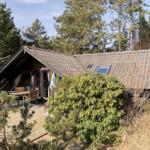 Holzhaus mit Terrasse, Garten und Dachfenster. Umgeben von Bäumen und Sträuchern.