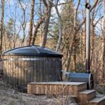 Wooden structure with roof and chimney in the forest
