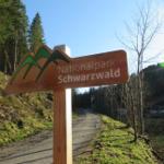 Schild weist auf Nationalpark Schwarzwald hin. Waldweg mit Bäumen und Gras.
